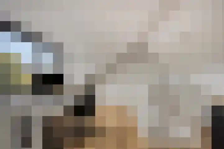Dokter Timmerslaan 5 Beek en Donk thumbnail 37