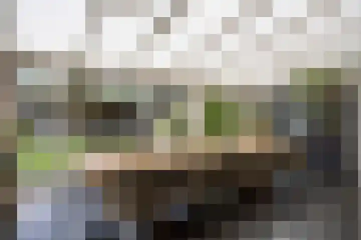 Dokter Timmerslaan 5 Beek en Donk thumbnail 4