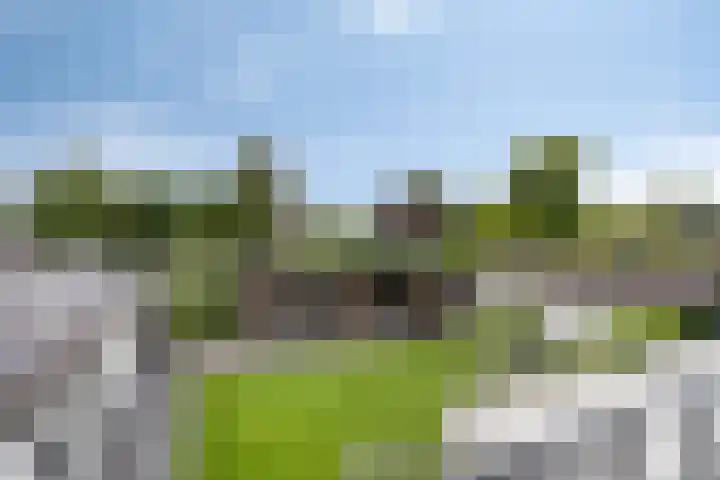 Dokter Timmerslaan 5 Beek en Donk thumbnail 40