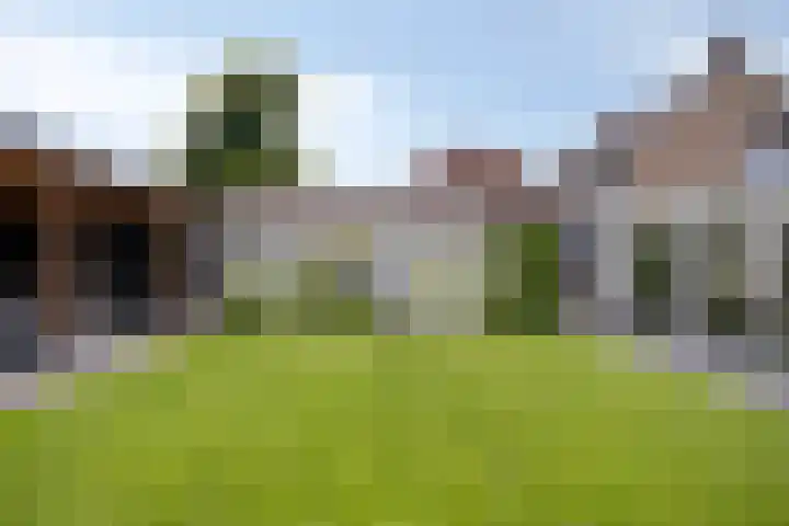 Dokter Timmerslaan 5 Beek en Donk thumbnail 44