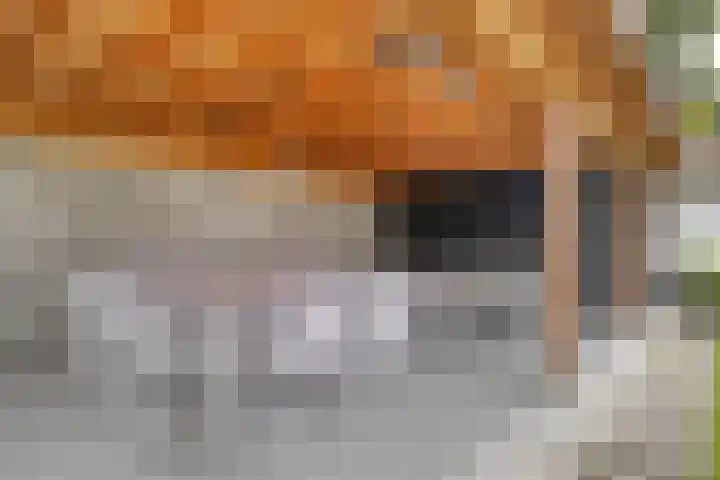 Dokter Timmerslaan 5 Beek en Donk thumbnail 45