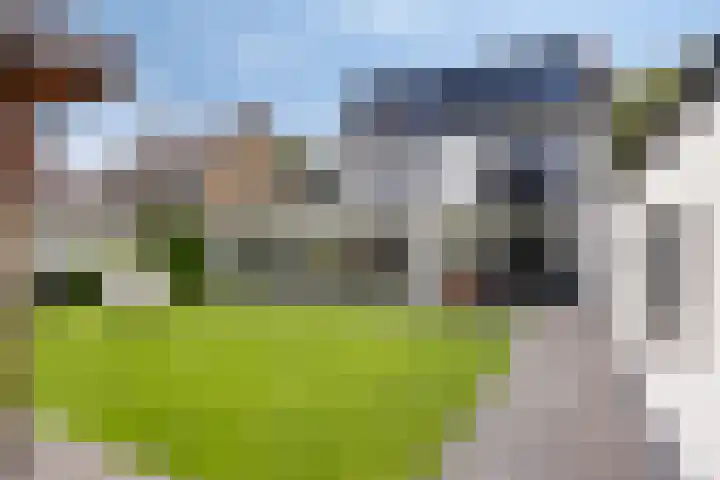 Dokter Timmerslaan 5 Beek en Donk thumbnail 6