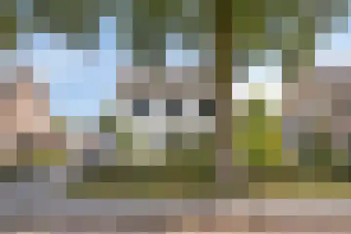 Dokter Timmerslaan 5 Beek en Donk thumbnail 7