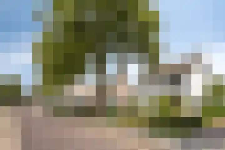 Dokter Timmerslaan 5 Beek en Donk thumbnail 8