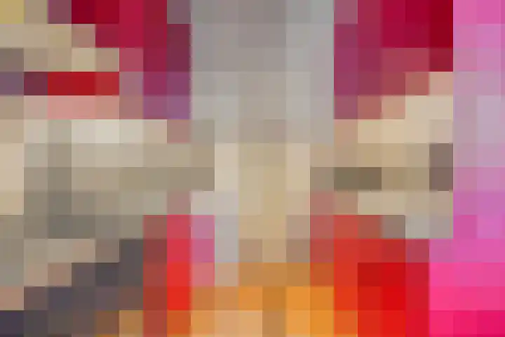 Dokter Timmerslaan 6 Beek en Donk thumbnail 13