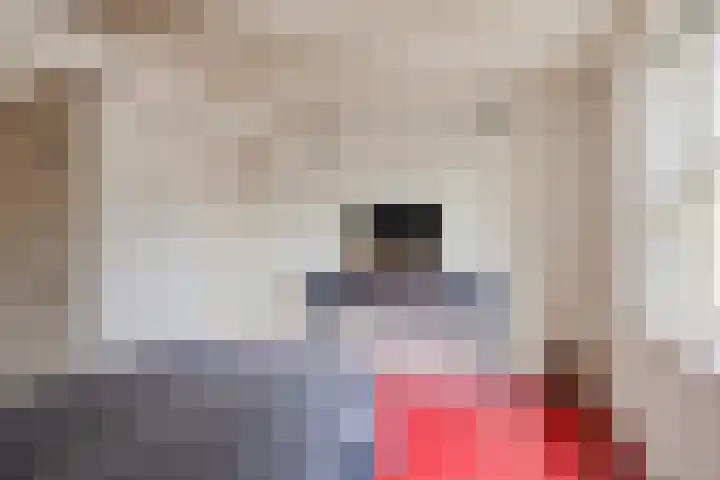 Dokter Timmerslaan 6 Beek en Donk thumbnail 18
