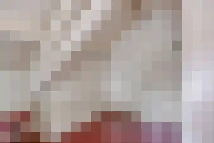 Dokter Timmerslaan 6 Beek en Donk thumbnail 19