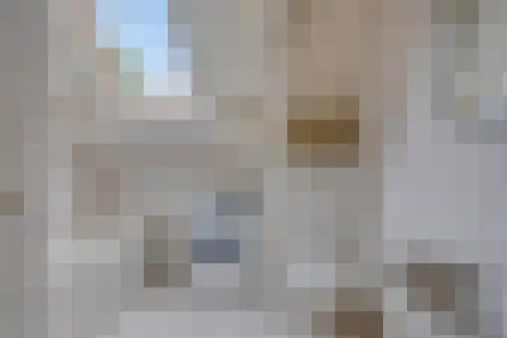 Dokter Timmerslaan 6 Beek en Donk thumbnail 21
