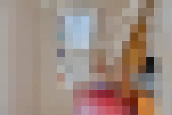 Dokter Timmerslaan 6 Beek en Donk thumbnail 23