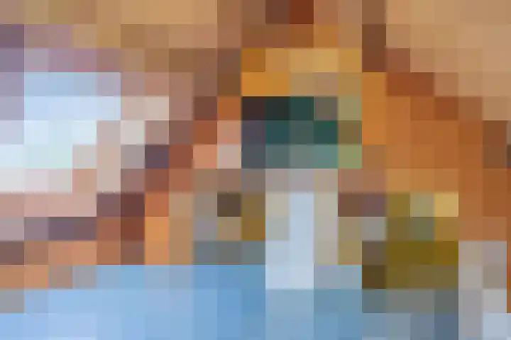 Dokter Timmerslaan 6 Beek en Donk thumbnail 28