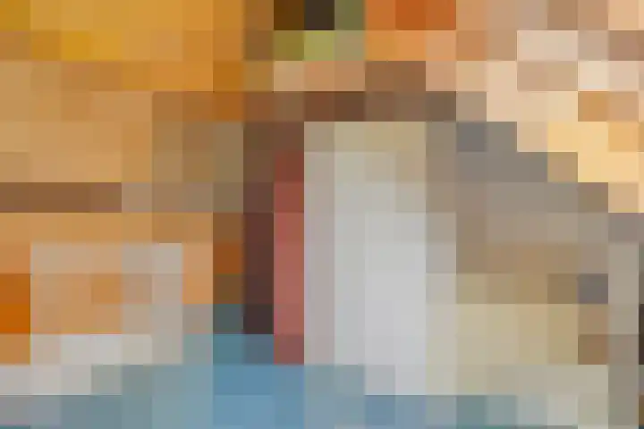 Dokter Timmerslaan 6 Beek en Donk thumbnail 30