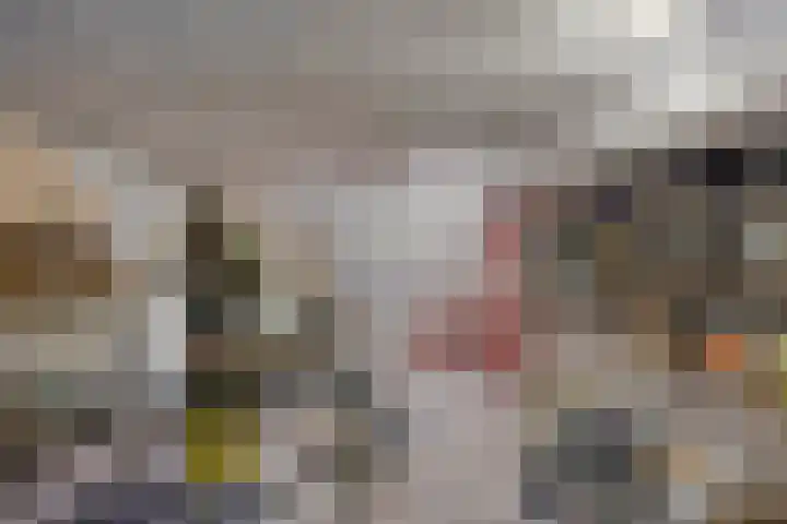 Dokter Timmerslaan 6 Beek en Donk thumbnail 32