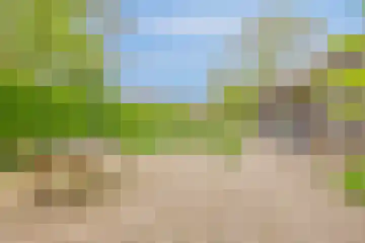 Dokter Timmerslaan 6 Beek en Donk thumbnail 33