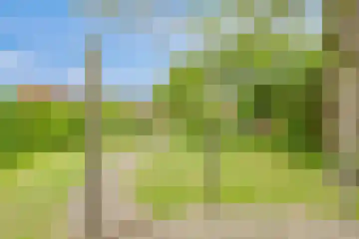 Dokter Timmerslaan 6 Beek en Donk thumbnail 34