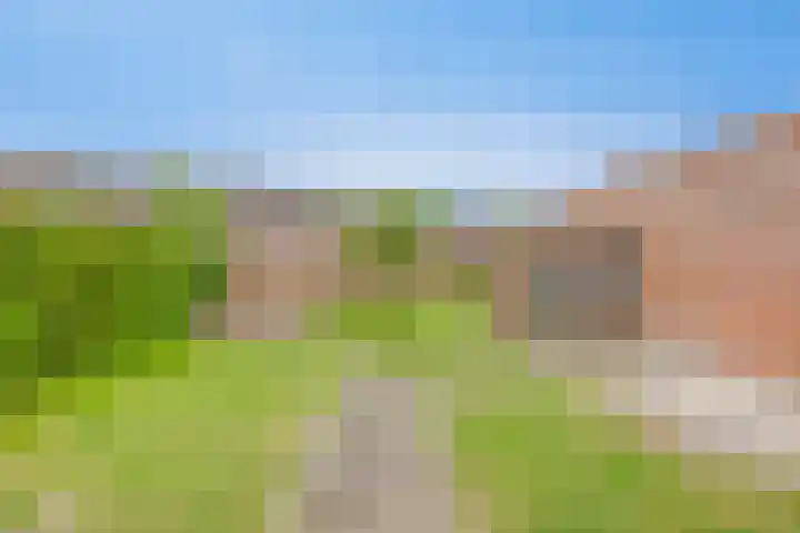 Dokter Timmerslaan 6 Beek en Donk thumbnail 35