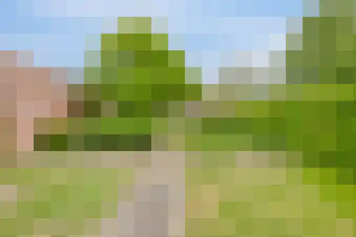 Dokter Timmerslaan 6 Beek en Donk thumbnail 36