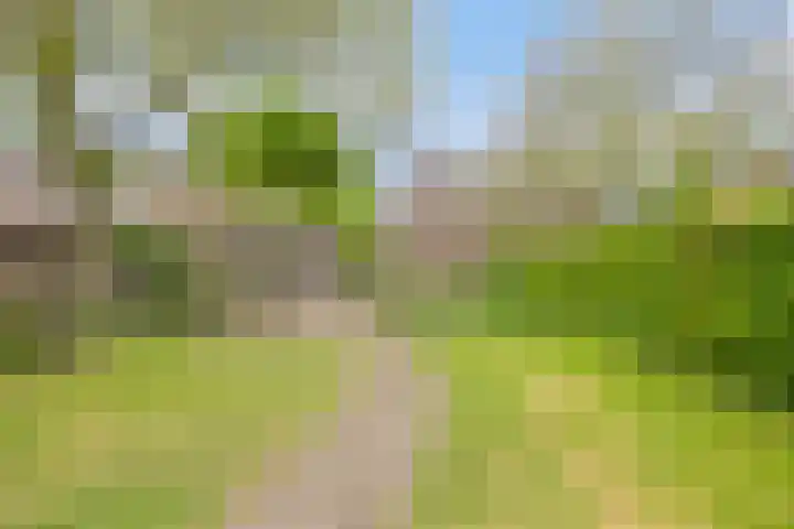 Dokter Timmerslaan 6 Beek en Donk thumbnail 37