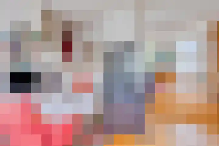 Dokter Timmerslaan 6 Beek en Donk thumbnail 8