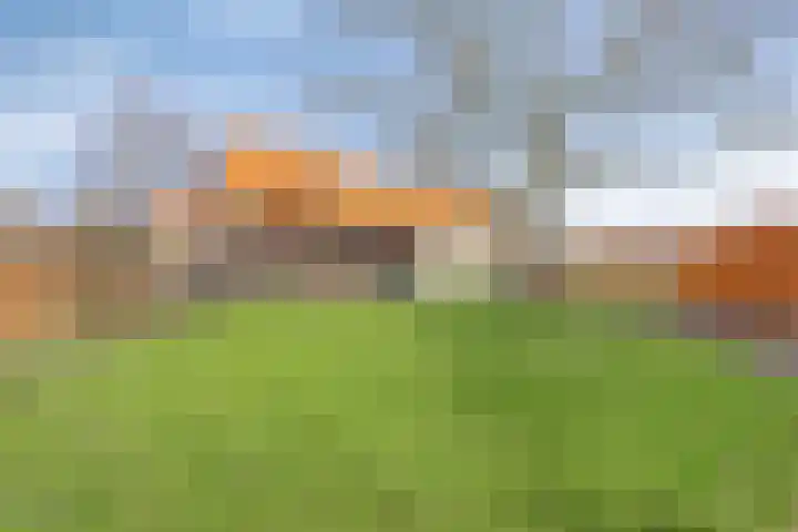 Dokter Timmerslaan 79 Beek en Donk foto 2