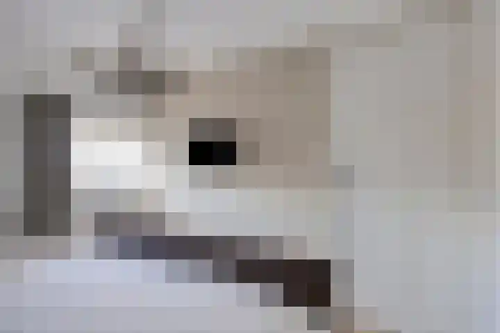 Dokter Timmerslaan 79 Beek en Donk thumbnail 24