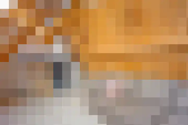 Dokter Timmerslaan 79 Beek en Donk thumbnail 29
