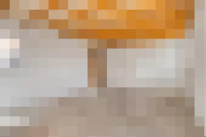 Dokter Timmerslaan 79 Beek en Donk thumbnail 31