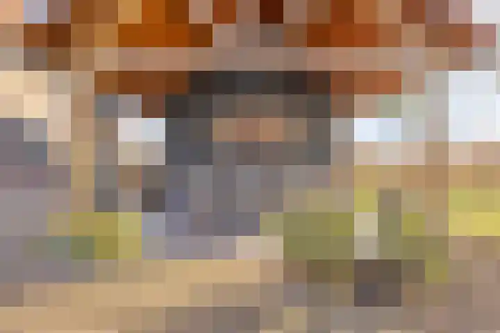 Dokter Timmerslaan 79 Beek en Donk thumbnail 33