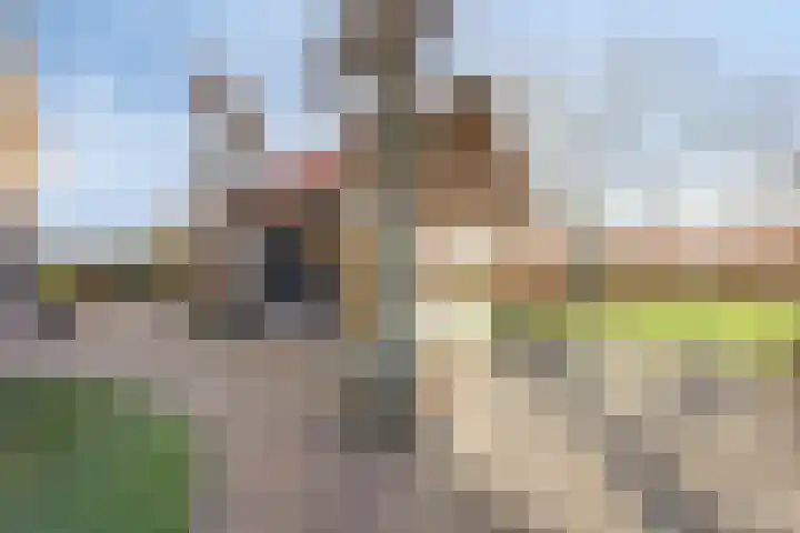 Dokter Timmerslaan 79 Beek en Donk thumbnail 37
