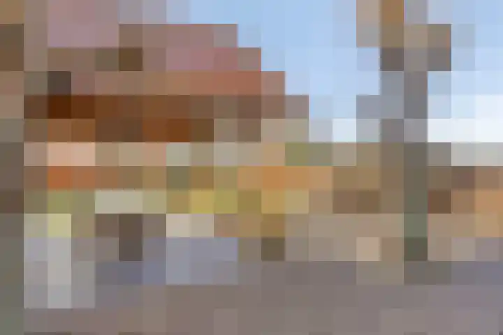 Dokter Timmerslaan 79 Beek en Donk thumbnail 38