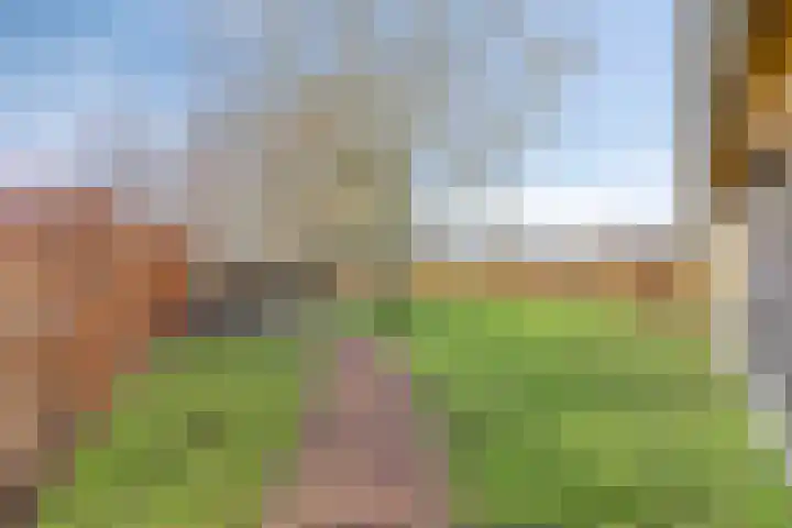 Dokter Timmerslaan 79 Beek en Donk thumbnail 39
