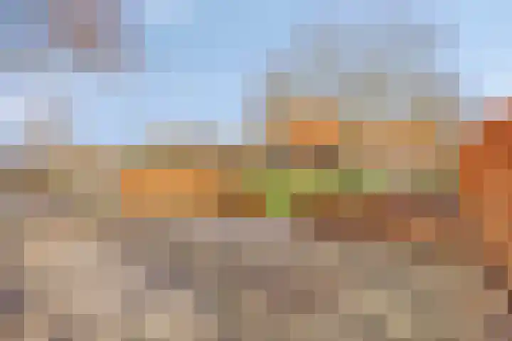 Dokter Timmerslaan 79 Beek en Donk thumbnail 40