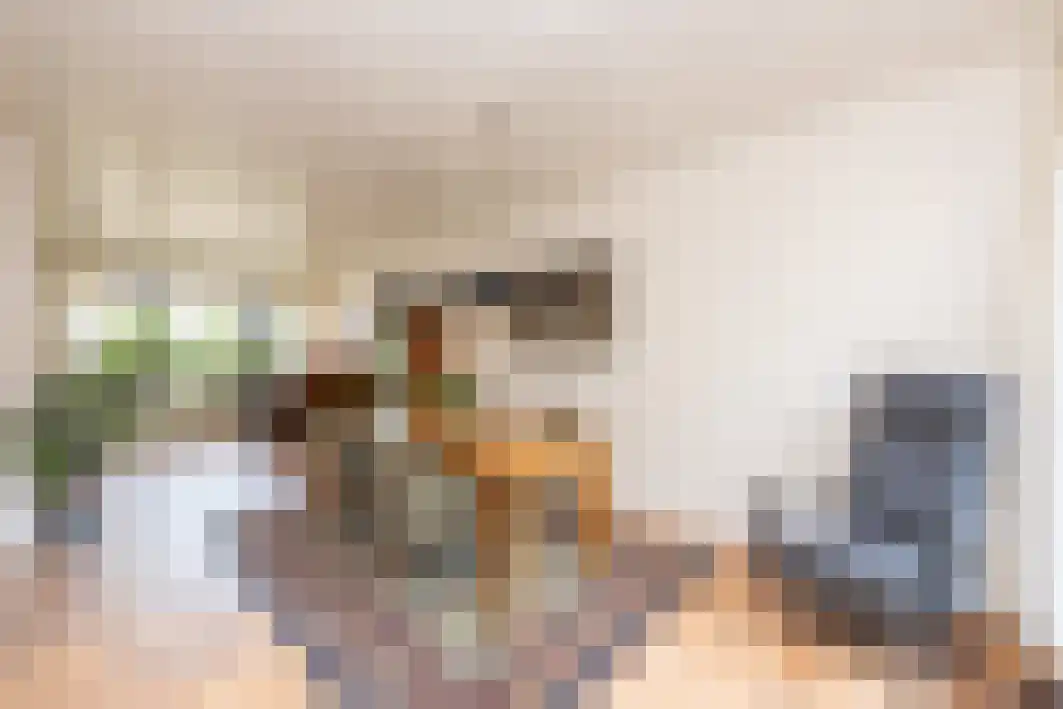 Dokter Tombrocklaan 17 Berkel-Enschot thumbnail 11