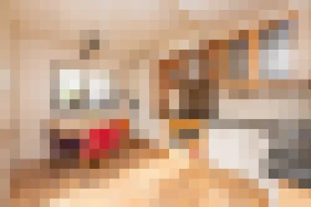 Dokter Tombrocklaan 17 Berkel-Enschot thumbnail 16