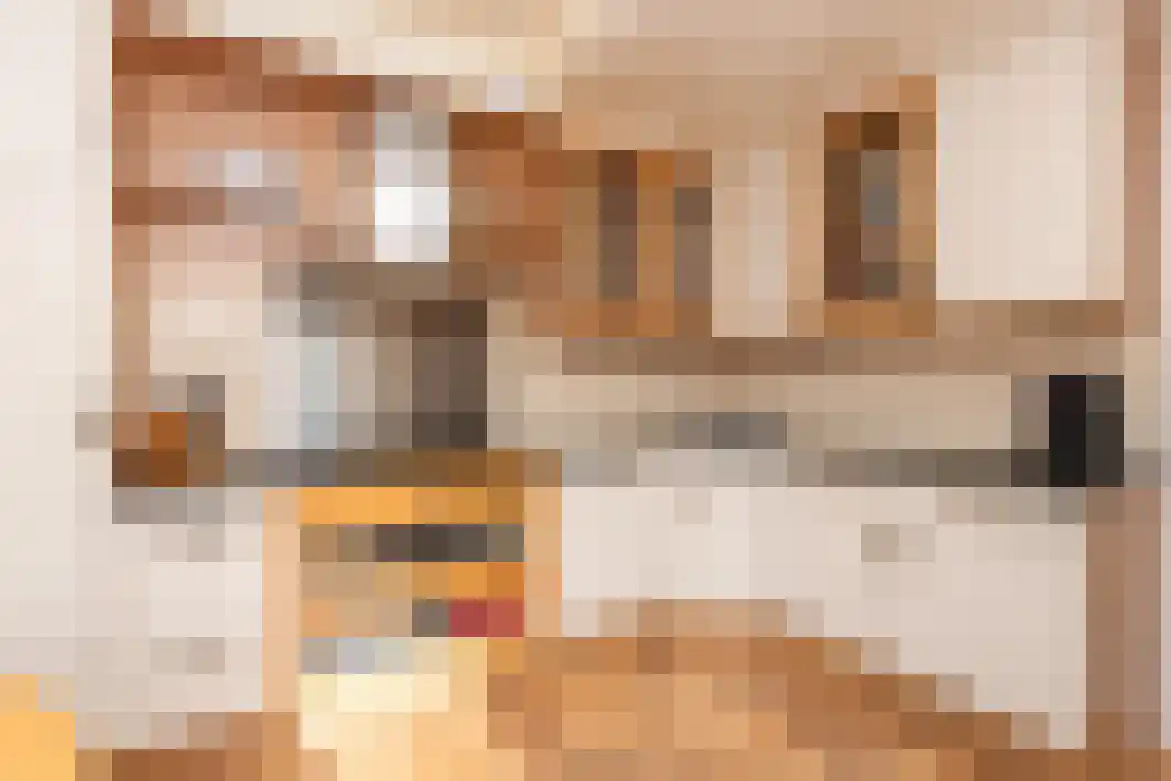 Dokter Tombrocklaan 17 Berkel-Enschot thumbnail 17