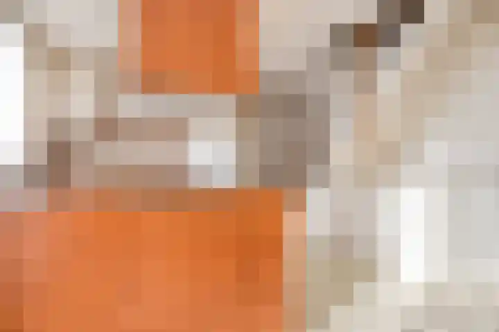 Dokter Tombrocklaan 4 Berkel-Enschot thumbnail 14