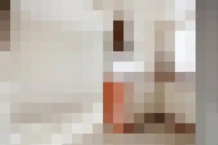 Dokter Tombrocklaan 4 Berkel-Enschot thumbnail 15