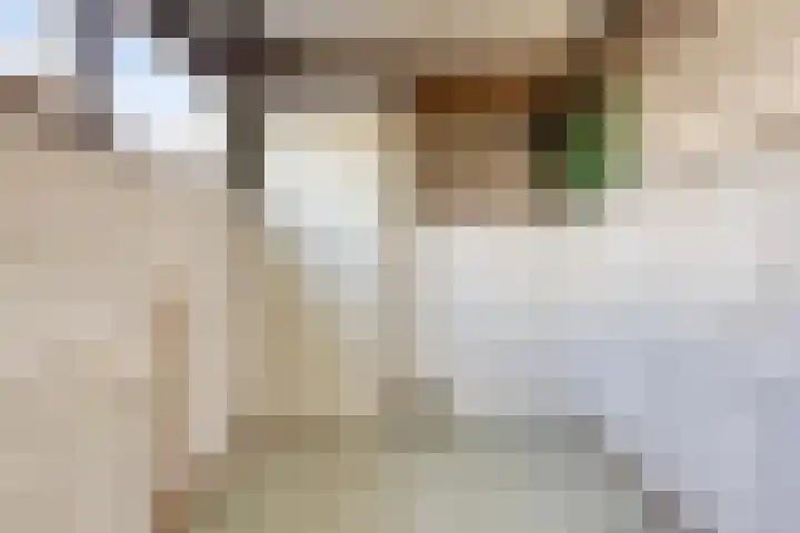 Dokter Tombrocklaan 4 Berkel-Enschot thumbnail 27