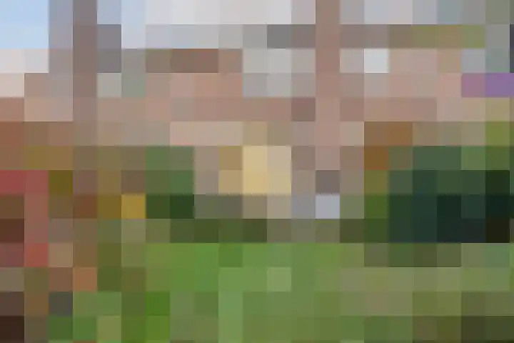 Dokter Tombrocklaan 4 Berkel-Enschot thumbnail 30