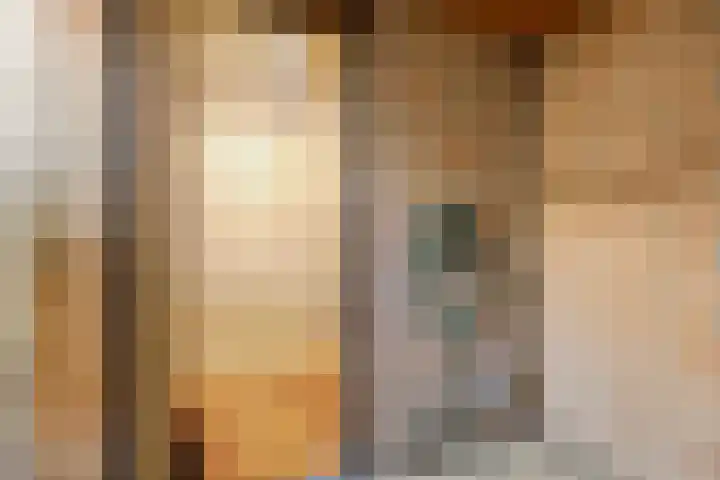 Dokter Tombrocklaan 4 Berkel-Enschot thumbnail 32