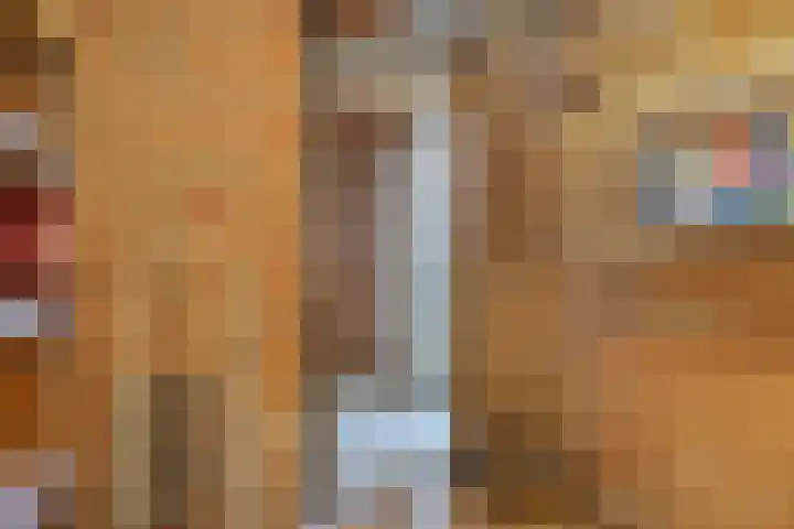 Dokter Tombrocklaan 4 Berkel-Enschot thumbnail 33