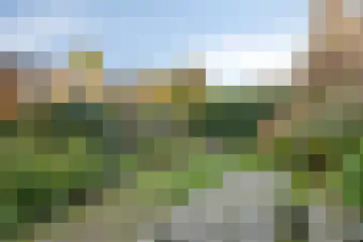 Dokter Tombrocklaan 4 Berkel-Enschot thumbnail 5
