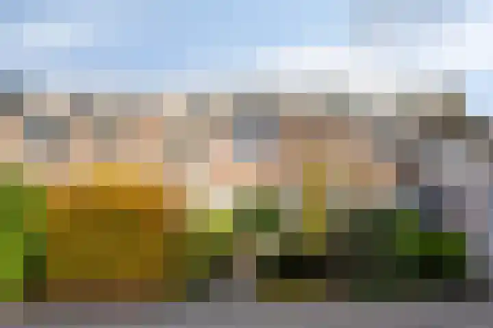 Dokter Tombrocklaan 4 Berkel-Enschot thumbnail 6