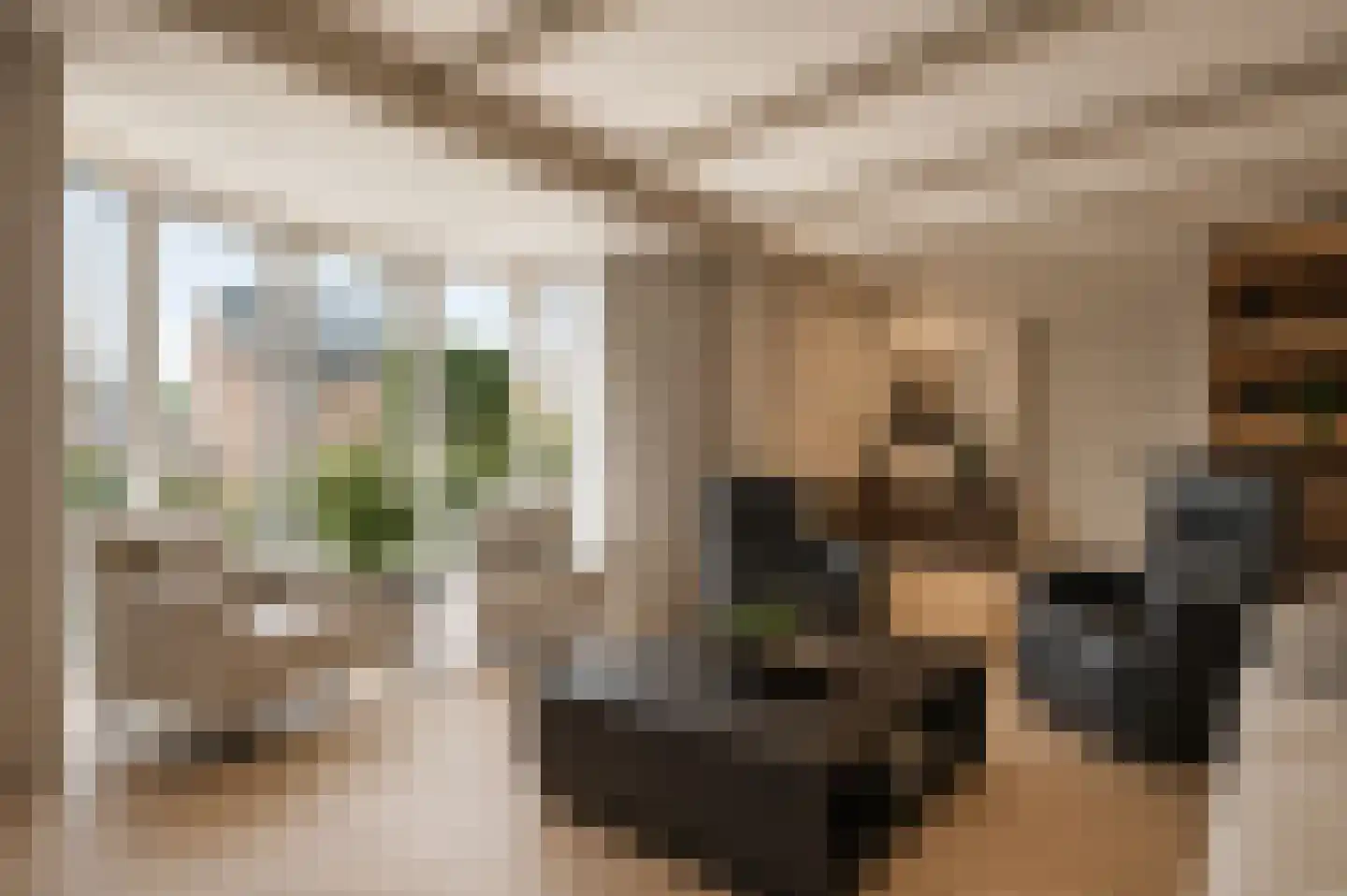 Dokter van Balen Blankenstraat 19 Spanbroek thumbnail 12