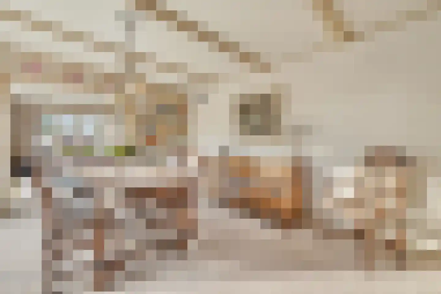 Dokter van Balen Blankenstraat 19 Spanbroek thumbnail 17