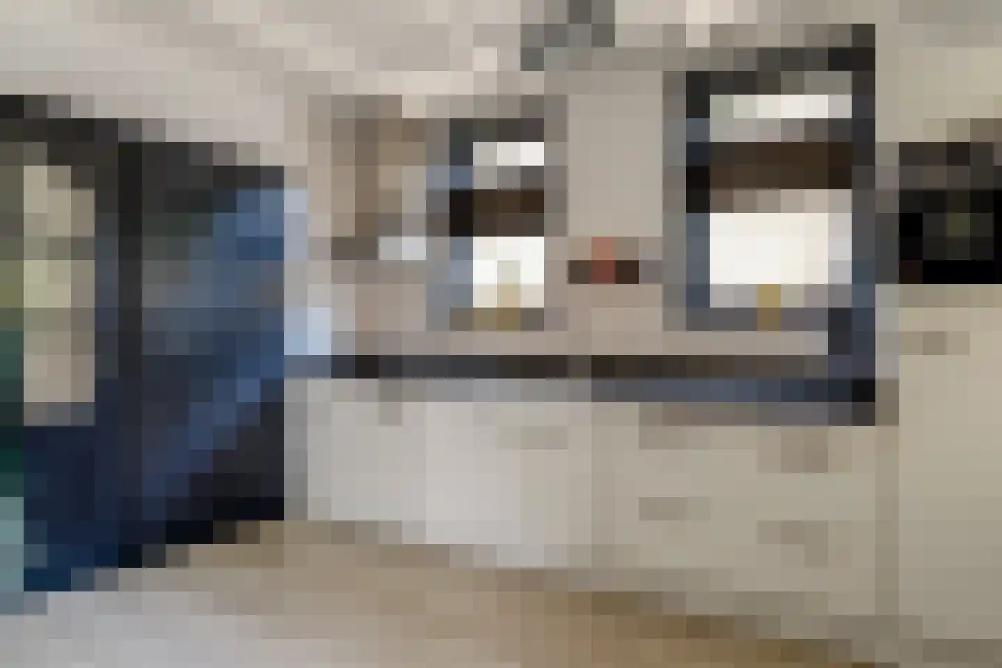 Dokter van Balen Blankenstraat 8 Spanbroek thumbnail 13