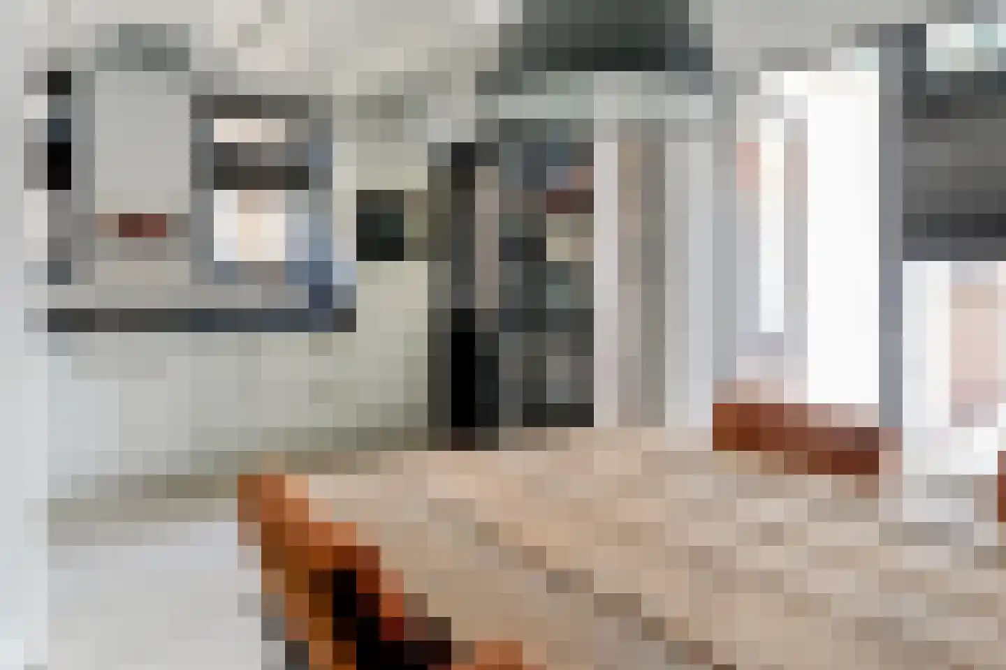 Dokter van Balen Blankenstraat 8 Spanbroek thumbnail 17