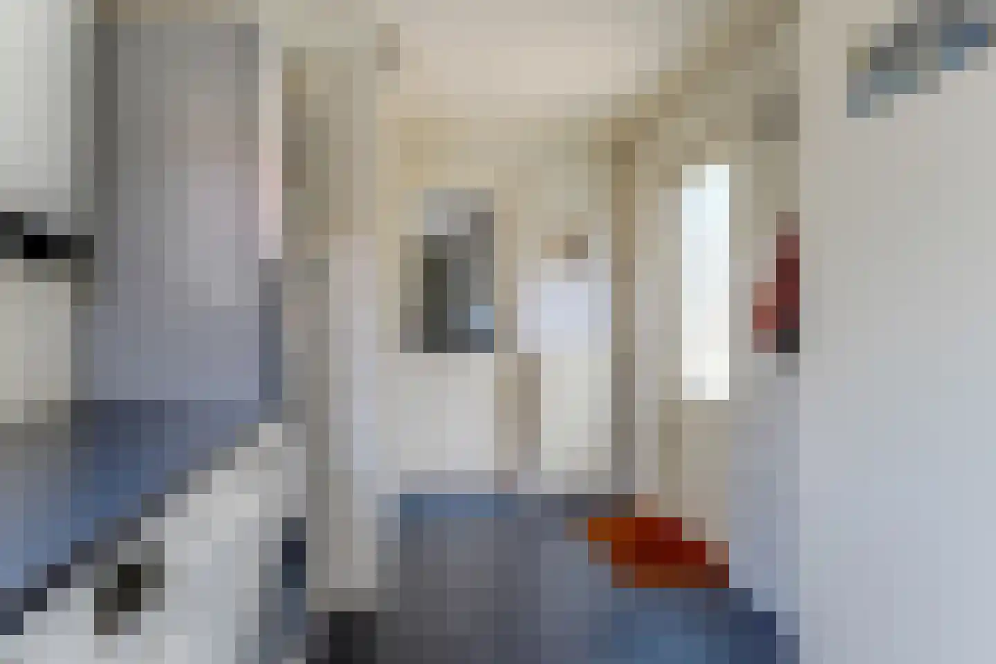 Dokter van Balen Blankenstraat 8 Spanbroek thumbnail 18