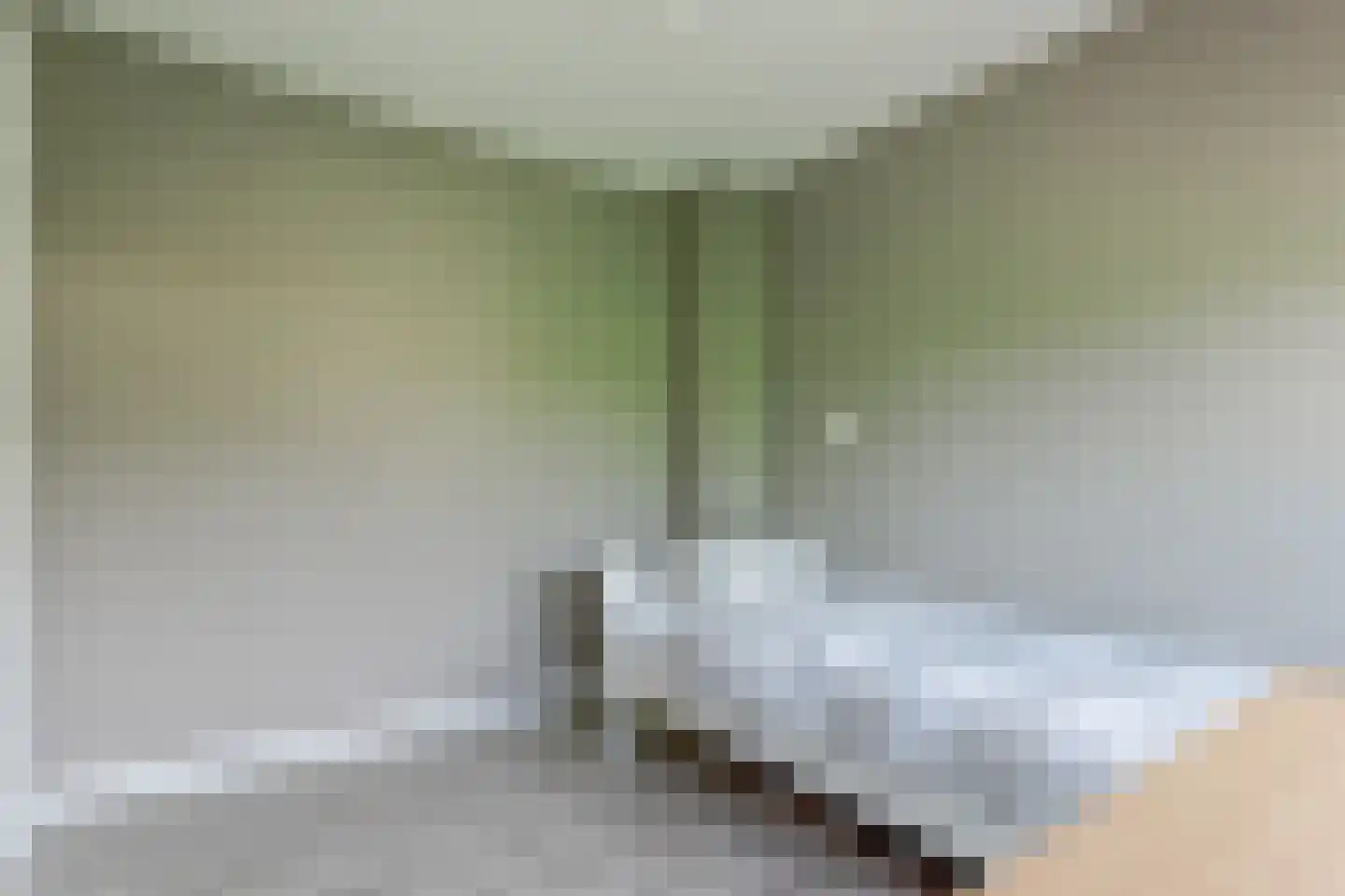 Dokter van Balen Blankenstraat 8 Spanbroek thumbnail 33