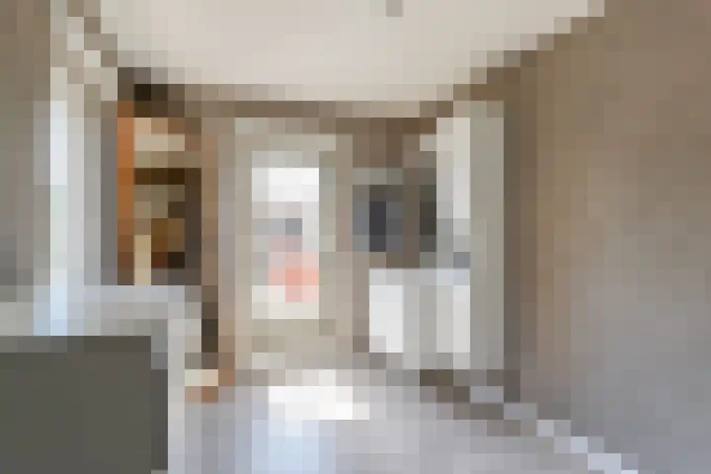 Dokter van Balen Blankenstraat 8 Spanbroek thumbnail 36