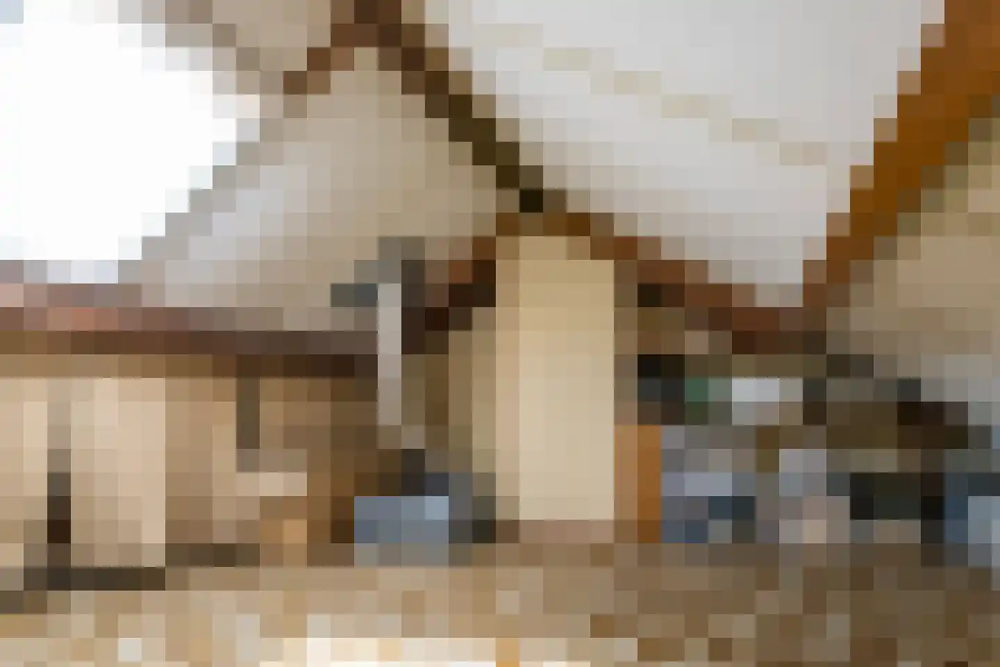 Dokter van Balen Blankenstraat 8 Spanbroek thumbnail 39